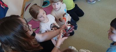 IMG_20250530_093120882.jpg