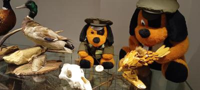 IMG_20250514_101323749.jpg