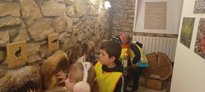 IMG_20250514_104258380.jpg