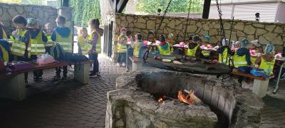 IMG_20250514_112944676.jpg