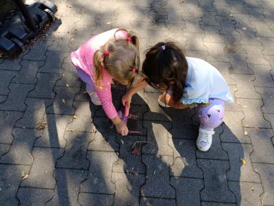 IMG-20251002-WA0121.jpg